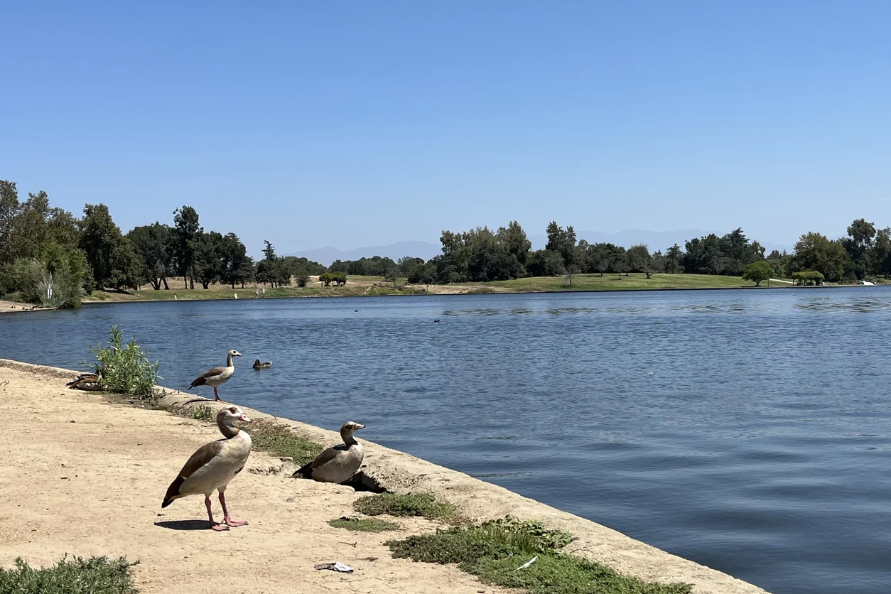 Lake Balboa, CA