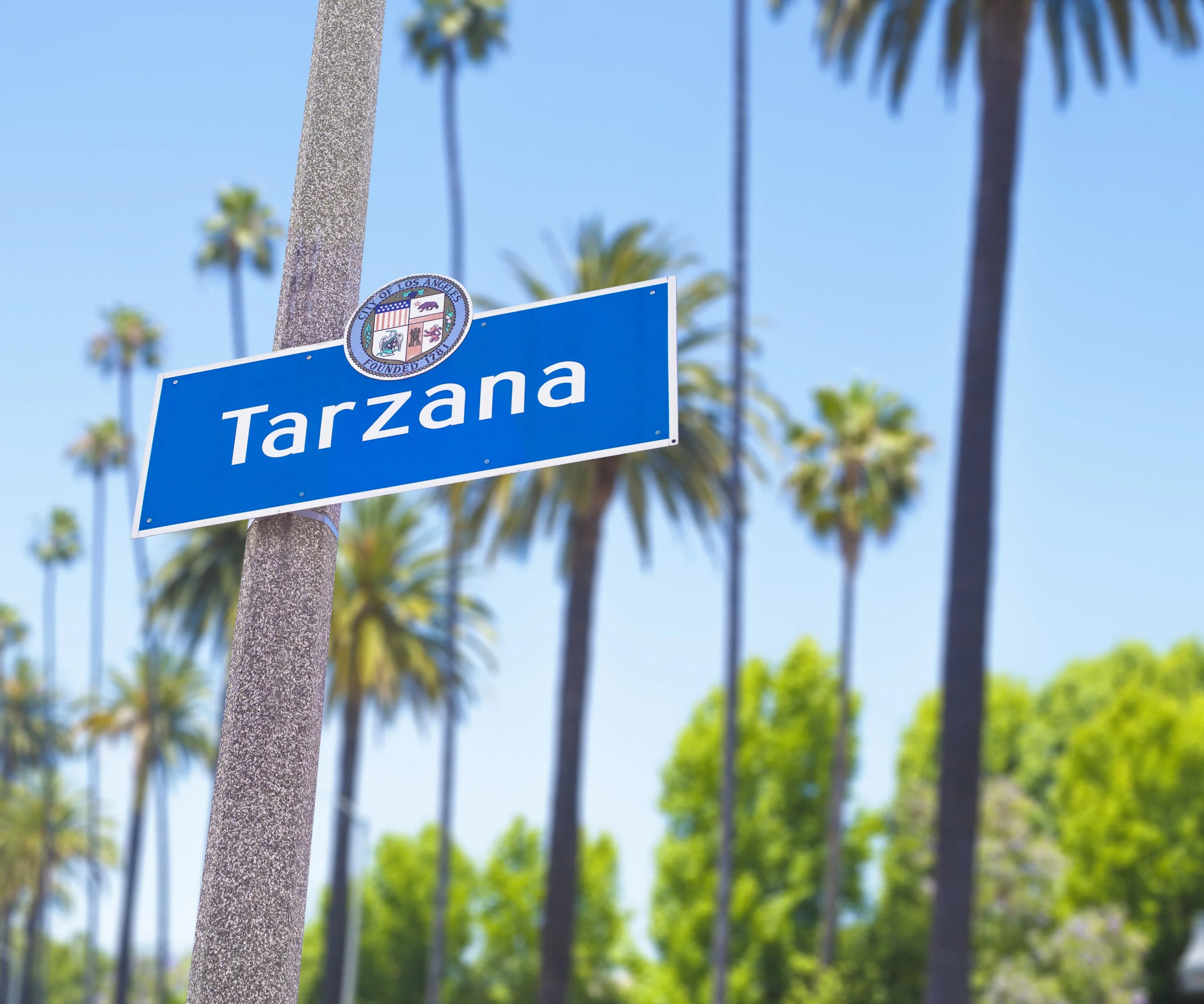 Personal Injury Attorney in Tarzana